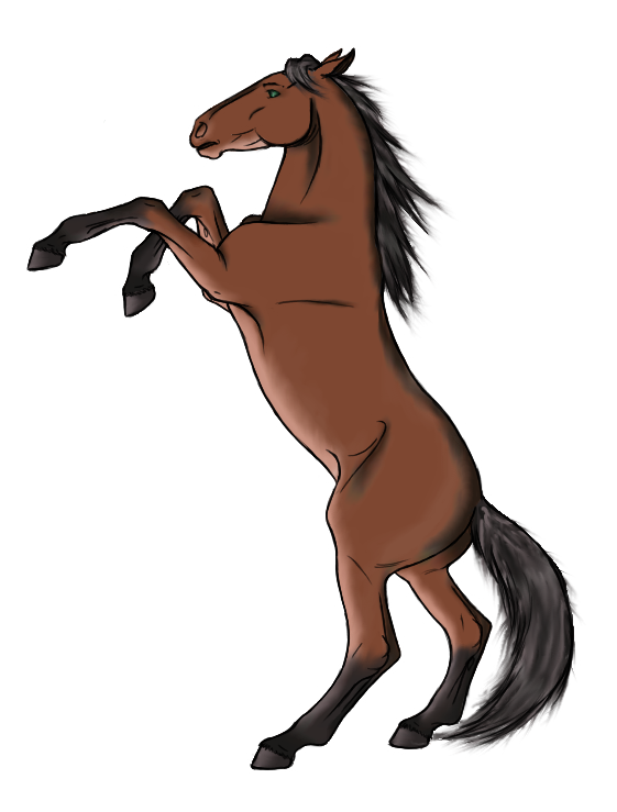 561x739 vector horses rearing transparent png clipart free download