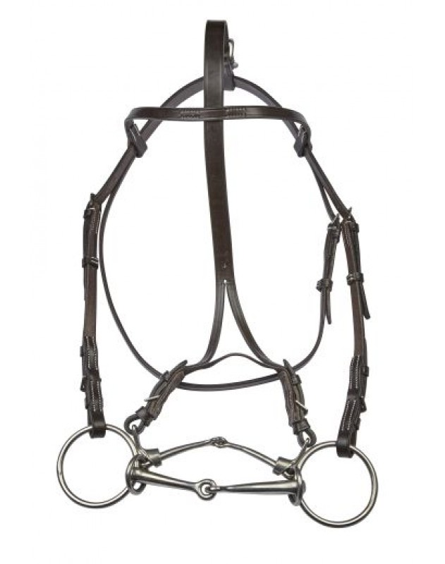 631x800 ej wicks citation bridle