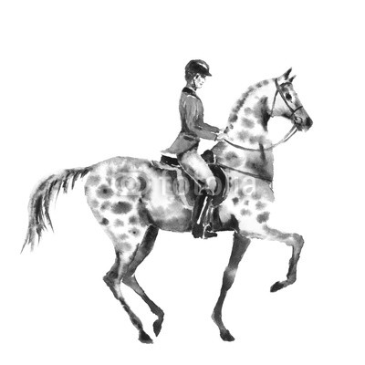 400x400 horseback rider man and dapple grey horse black and white