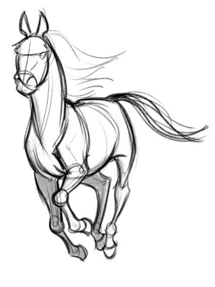 426x569 image result for galloping horses drawings easy equine artwork