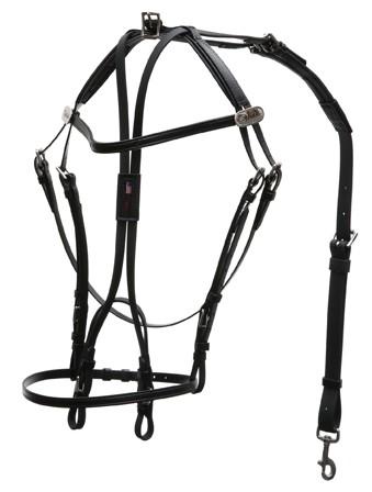 339x448 international open bridle