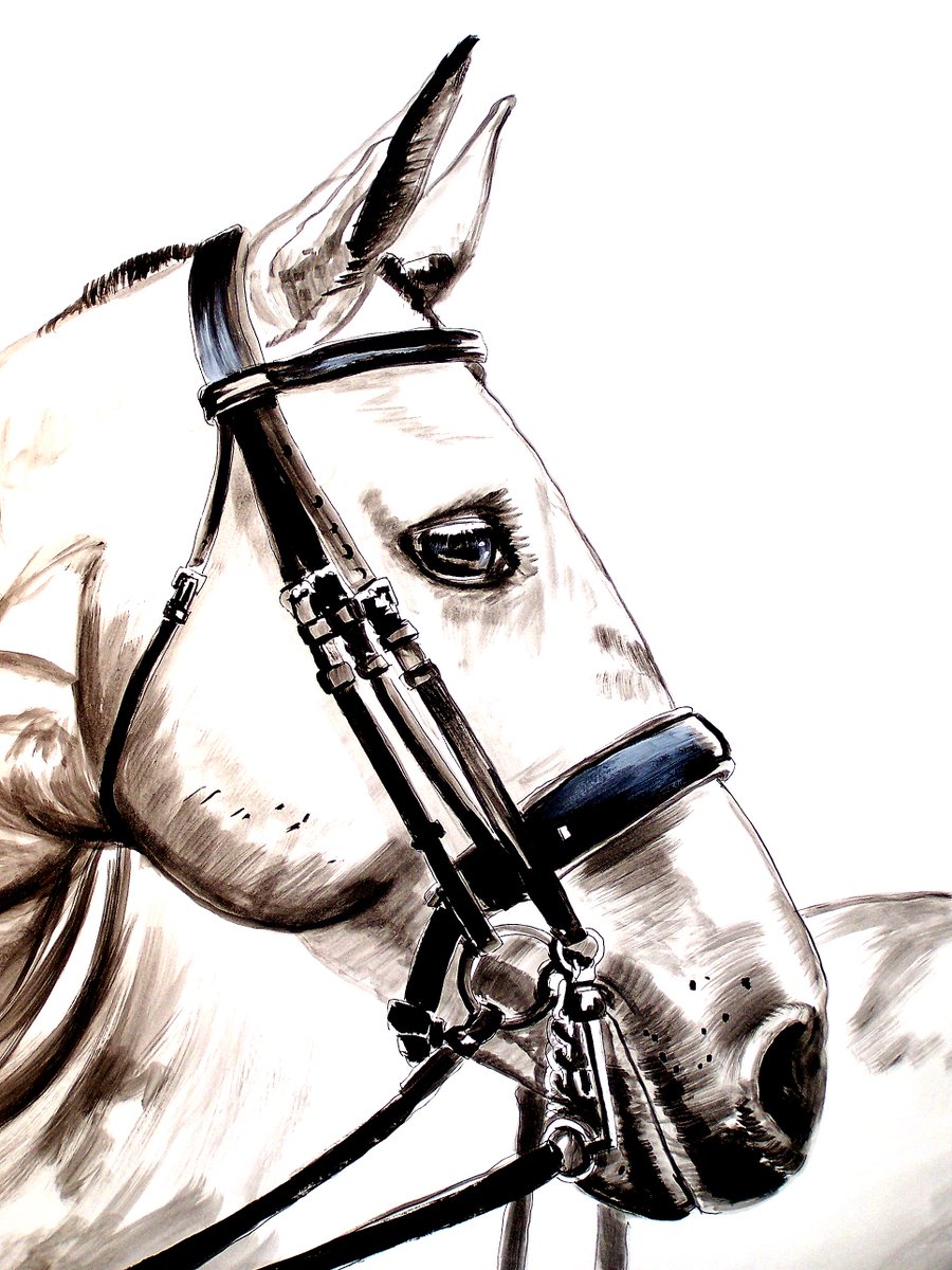 900x1200 steve messenger on twitter black double bridle