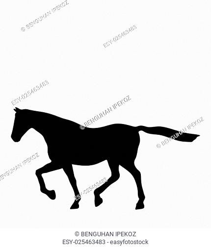 430x506 Running Cart Horse Stock Photos And Images Age Fotostock