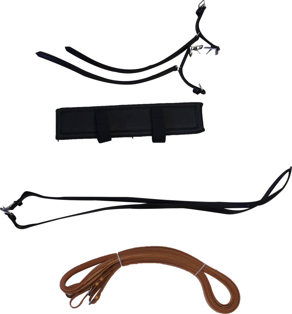 953x1024 Transformation Of A Havana Pair Harness Into