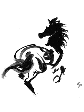 293x390 Black White Illustrations Elizabeth Berg