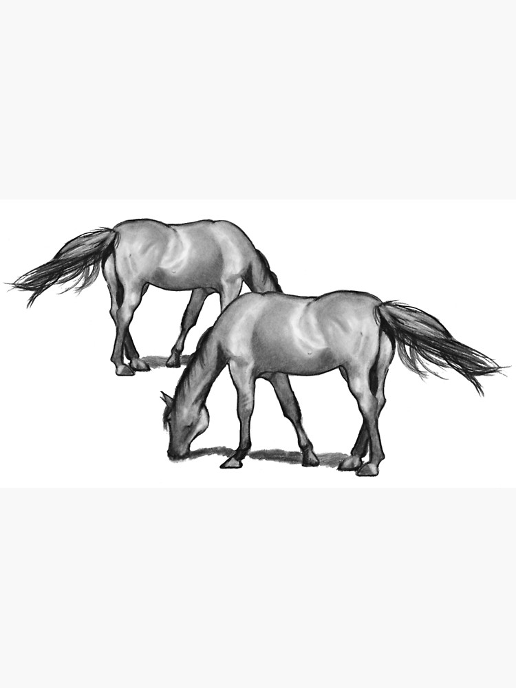 750x1000 Lienzo Grazing Charcoal De Joyce