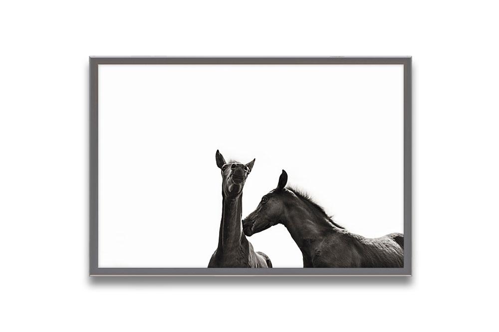 1000x667 Youth Tracey Buyce Photography