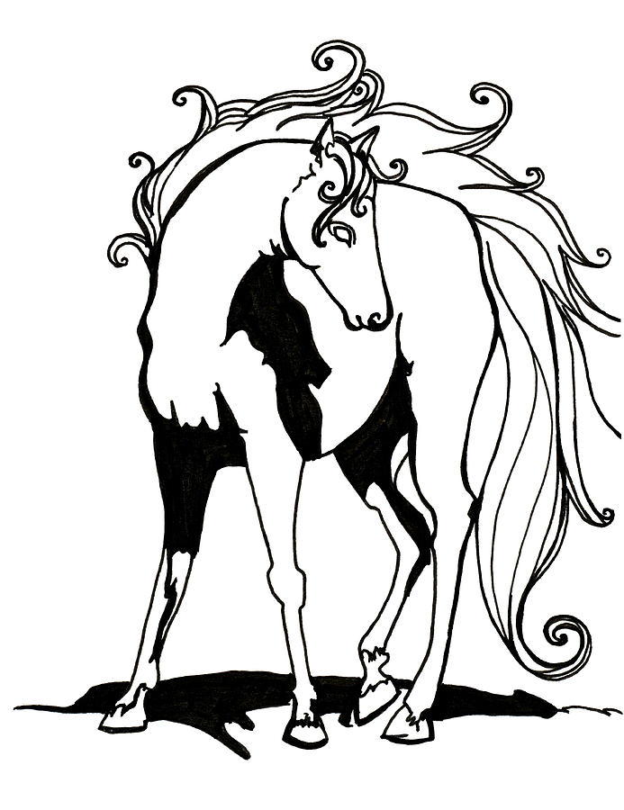 693x900 Flowing Mane Horse Line Art Drawing