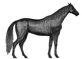 283x204 Antique Clip Art