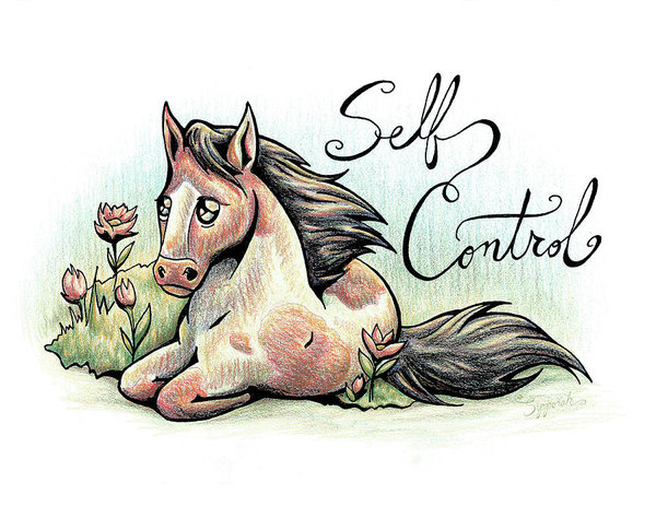 600x463 Pinto Horse Drawings Fine Art America