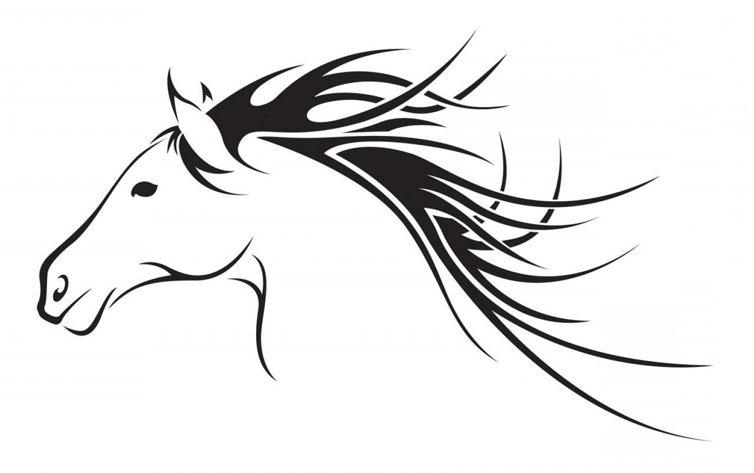 1536x964 Quarter Horse Head Vector Soidergi