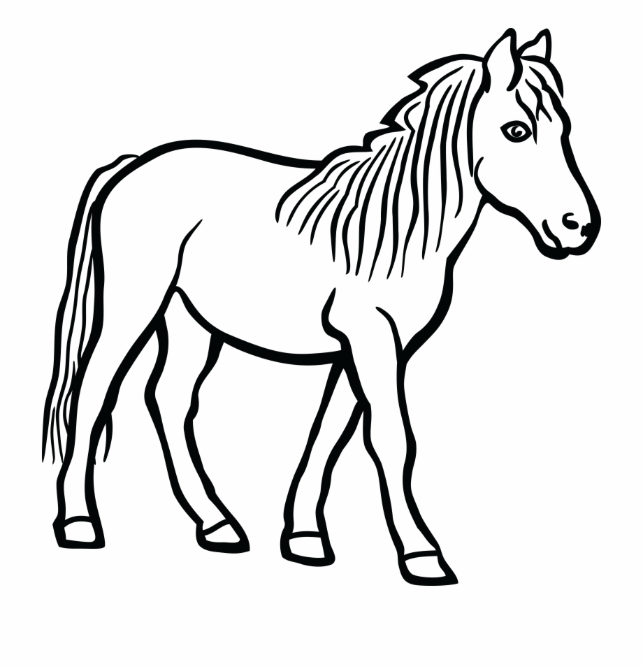 920x957 Stick Figure Horse Png
