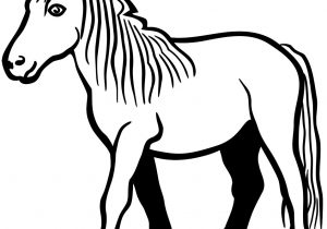 300x210 Horse Drawing Black And White Black And White Horse Drawings