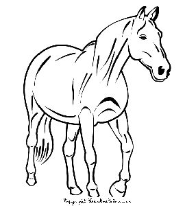 286x300 Horse Coloring Book Ebook In Pretoria Ads May Clasf Leisure