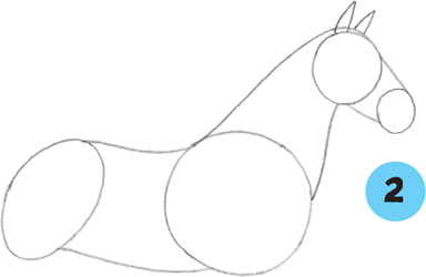 384x250 Tennessee Walking Horse