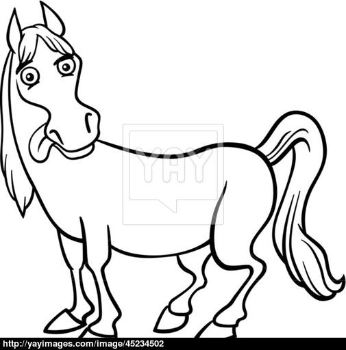 505x512 Farm Horse Cartoon For Coloring Book Vector