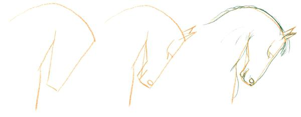 600x233 Horse Drawing Steps Horse Drawings And Tips At Horse Drawing Tutorial