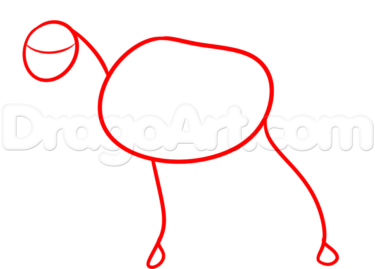 1273x914 Horse Drawing Tutorial Step