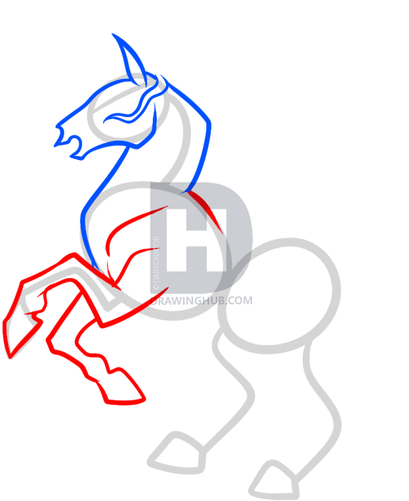 589x720 How To Draw A Rearing Horse, Step