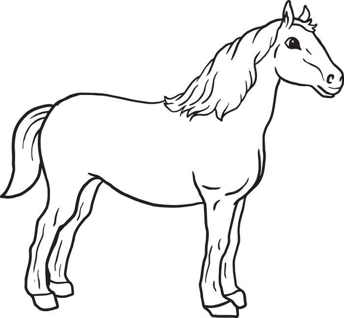 Horse Drawing For Kids