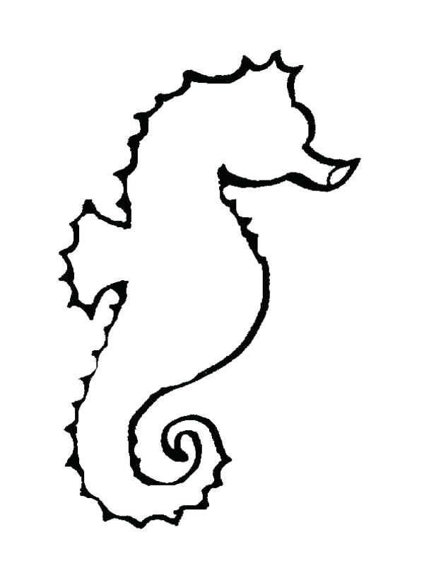 600x800 Sea Horse Outline An Outline Drawing Of Seahorse Coloring