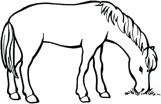 550x356 Spotted Horse Coloring Pages Horses Pictures To Color For Kids