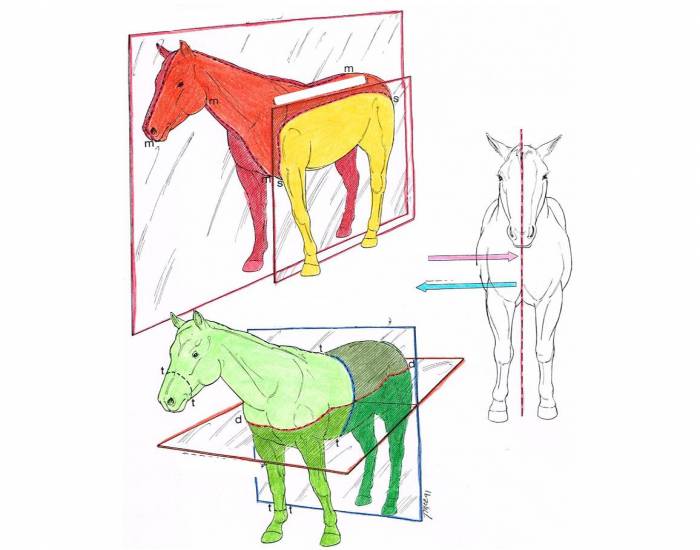 700x550 Game Statistics