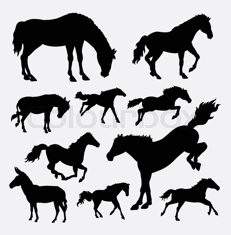 786x800 Horse Animal Action Silhouette Good Stock Vector Colourbox
