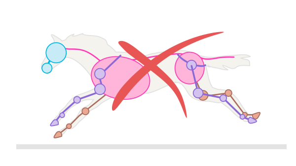 600x336 How To Draw Animals Horses, Their Anatomy And Poses