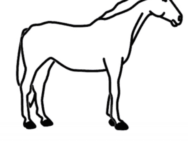 640x480 Horse Drawing Easy Free Download Clip Art