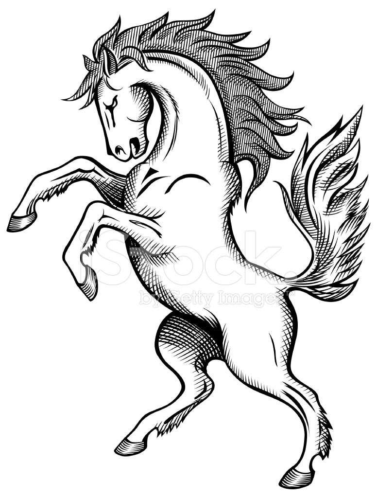 776x1024 Horse Drawing Stock Vector