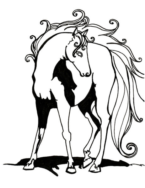 462x600 Whimsical Horse Drawings Fine Art America