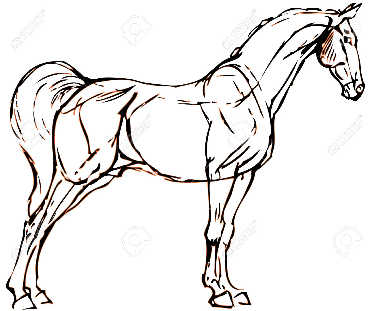1300x1083 Easy Horse Head Coloring Pages With Horse Head Drawing Easy