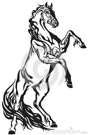 294x450 Black And White Horse Drawings Horse Tribal Tattoo Stallion
