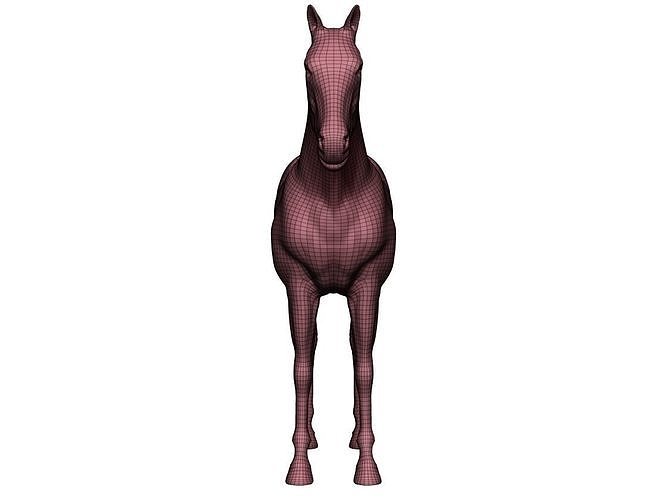 667x500 Horse