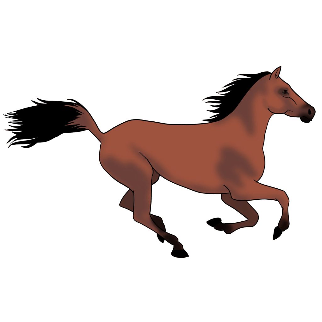 1024x1024 ways to draw a horse from beginner to intermediate level
