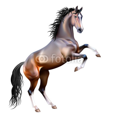 400x400 Vector Realistic Bay Horse Rearing Up Isolated Buy Photos Ap