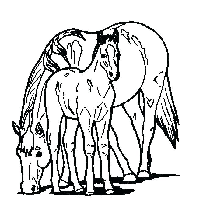 690x705 Free Printable Realistic Horse Coloring Pages Palmarosa