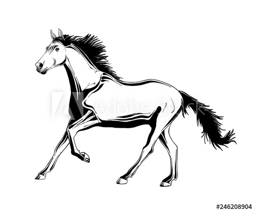 500x417 Vector Engraved Style Illustration For Posters, Decoration