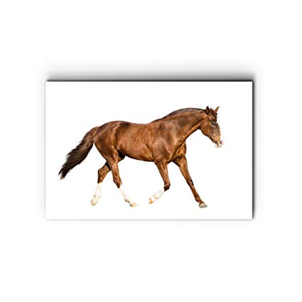 425x425 nish! running horse' collection galloping horse