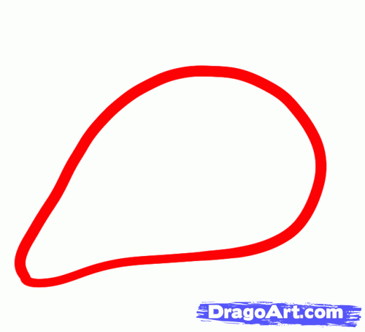 520x472 Horse Eye Drawing Step