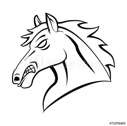 500x498 Horse Head
