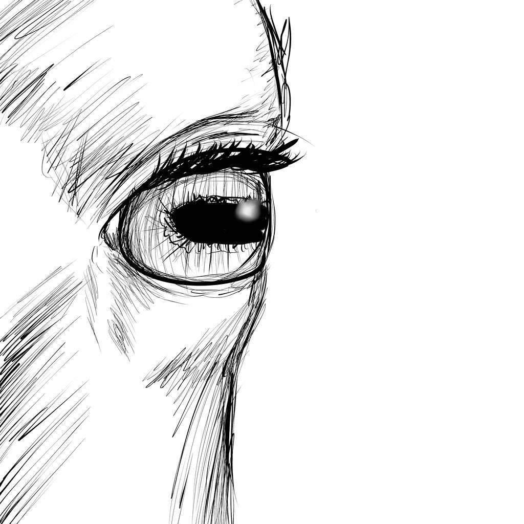 1024x1024 Horse Eye Sketch