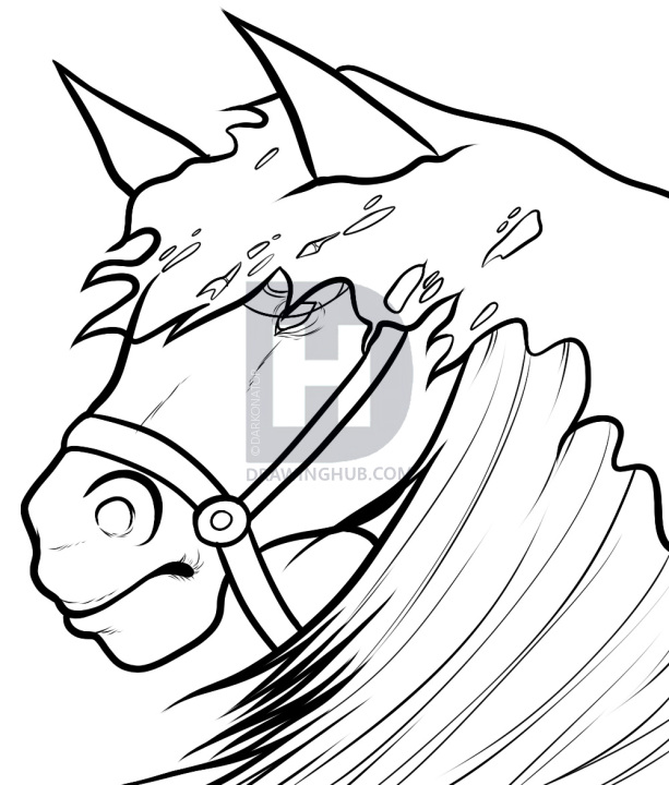 613x720 How To Draw A Black Horse, Black Horse, Step