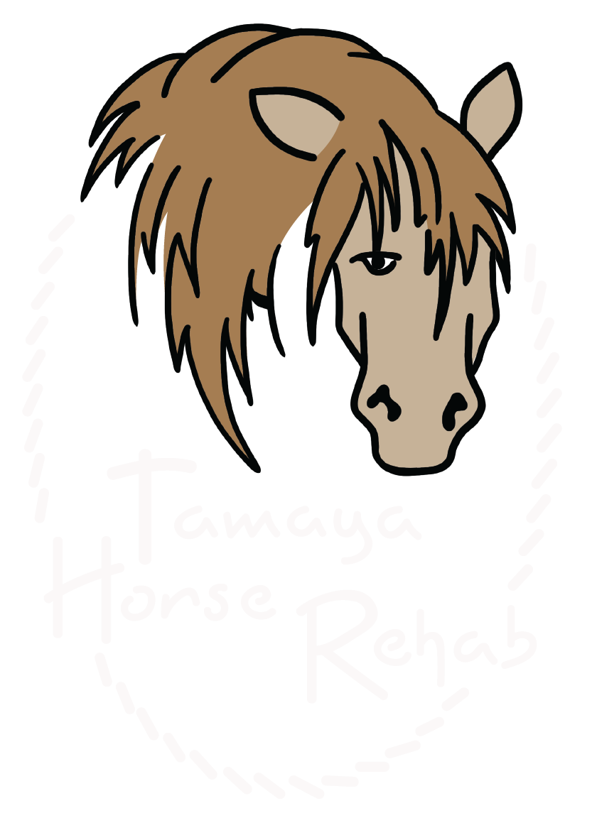 833x1152 The Tamaya Horse Rehab