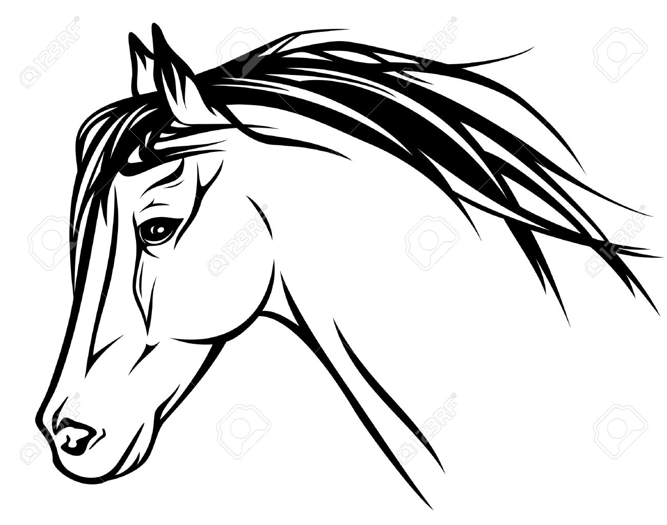 1300x1023 Horse Face Clipart Black And White