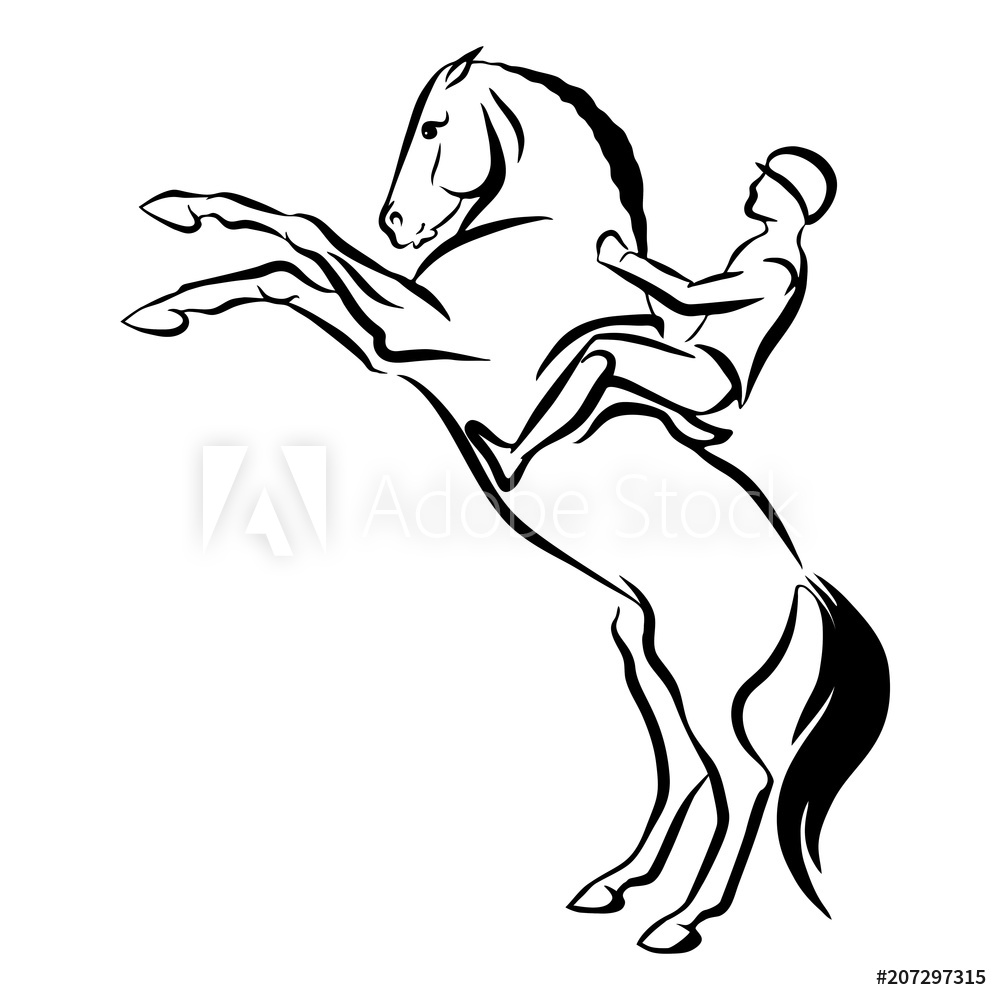 1000x1000 photo art print a sketch of a rider on a horse europosters
