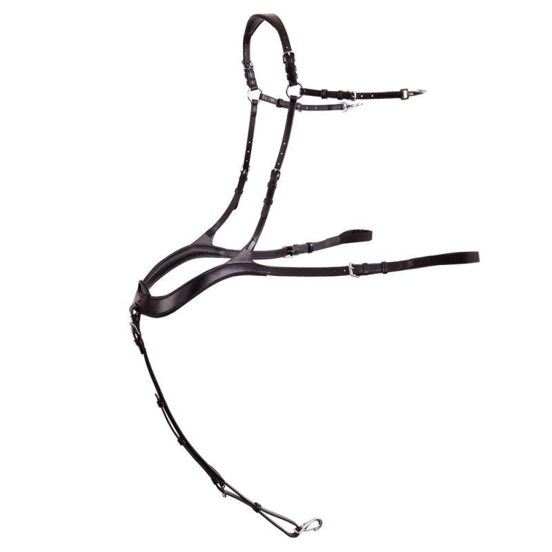 800x800 br breastplate heywood oro equestrian