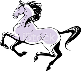 266x235 Galloping Horse Stock Photos