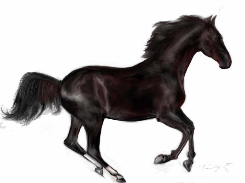 1024x768 Ipad Drawing Galloping Horse